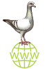 wwwSchautaube